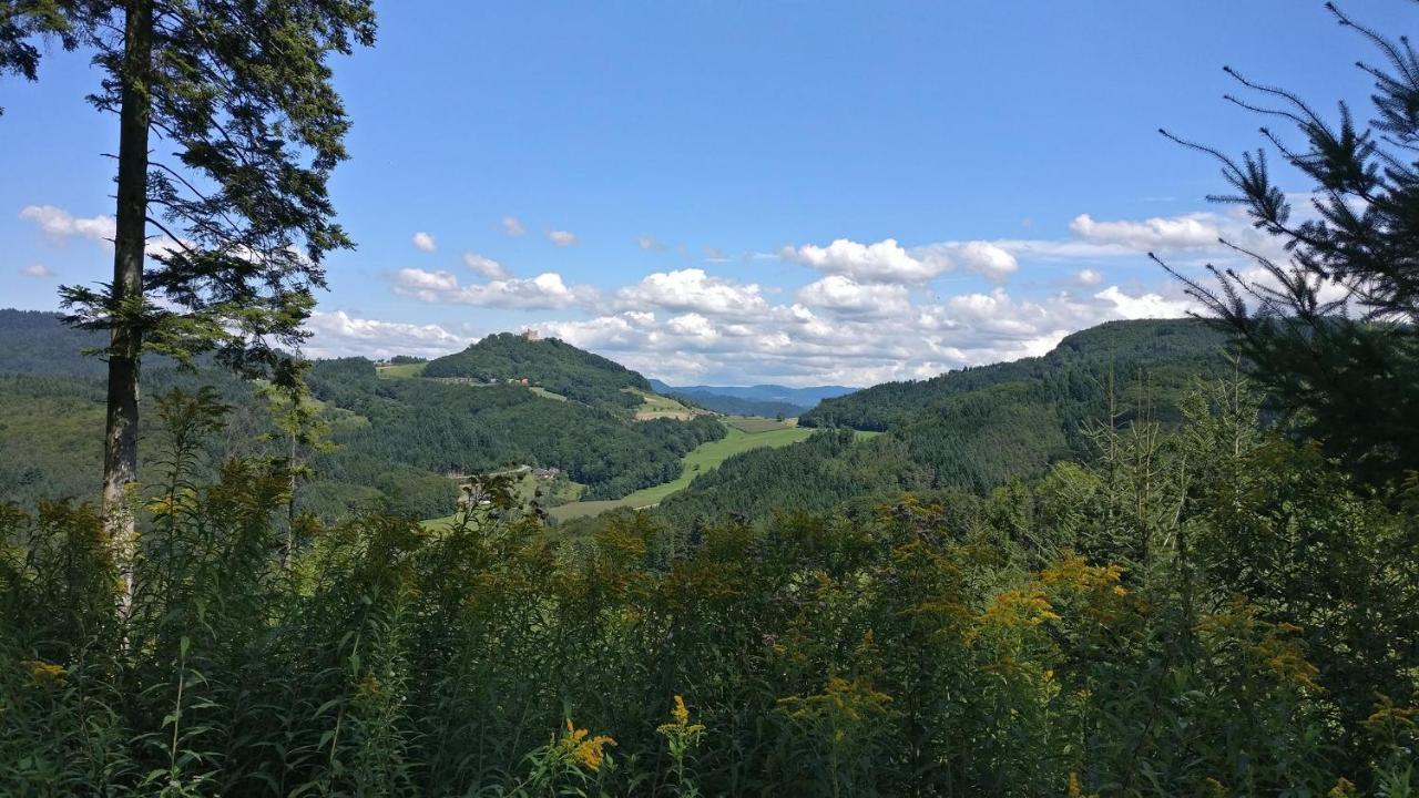 Schwarzwaelder Ferienwohnungen Seelbach  Exterior foto