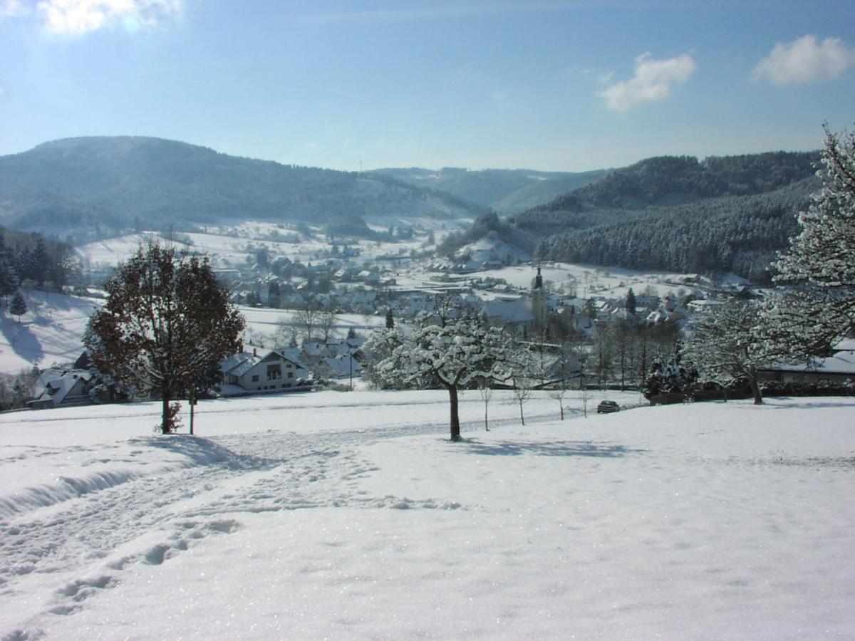 Schwarzwaelder Ferienwohnungen Seelbach  Exterior foto