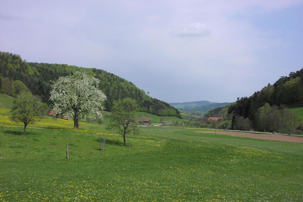 Schwarzwaelder Ferienwohnungen Seelbach  Exterior foto
