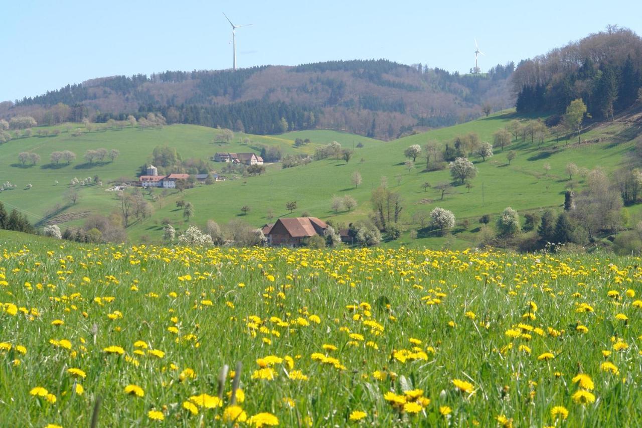 Schwarzwaelder Ferienwohnungen Seelbach  Exterior foto